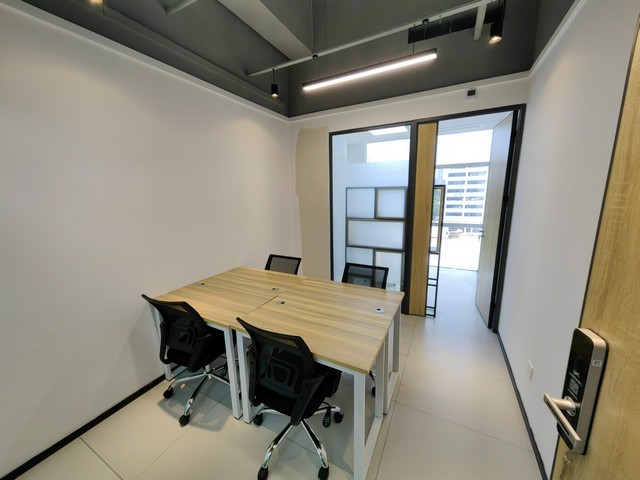 植物植物出租租赁金堂县